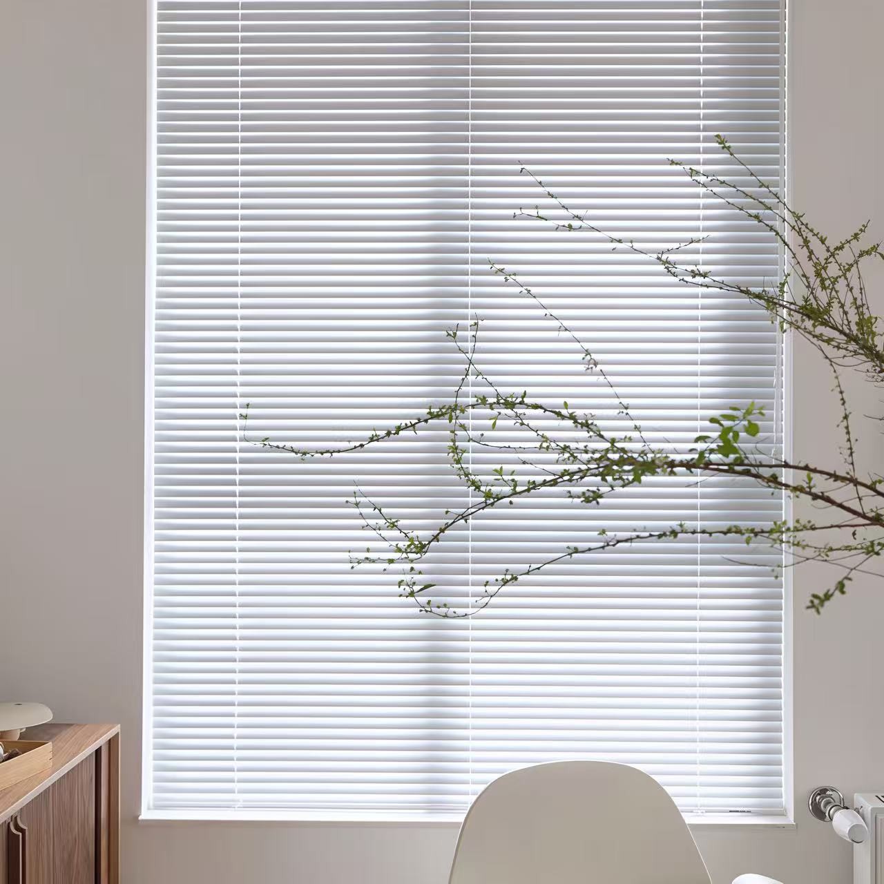 Venetian Blinds