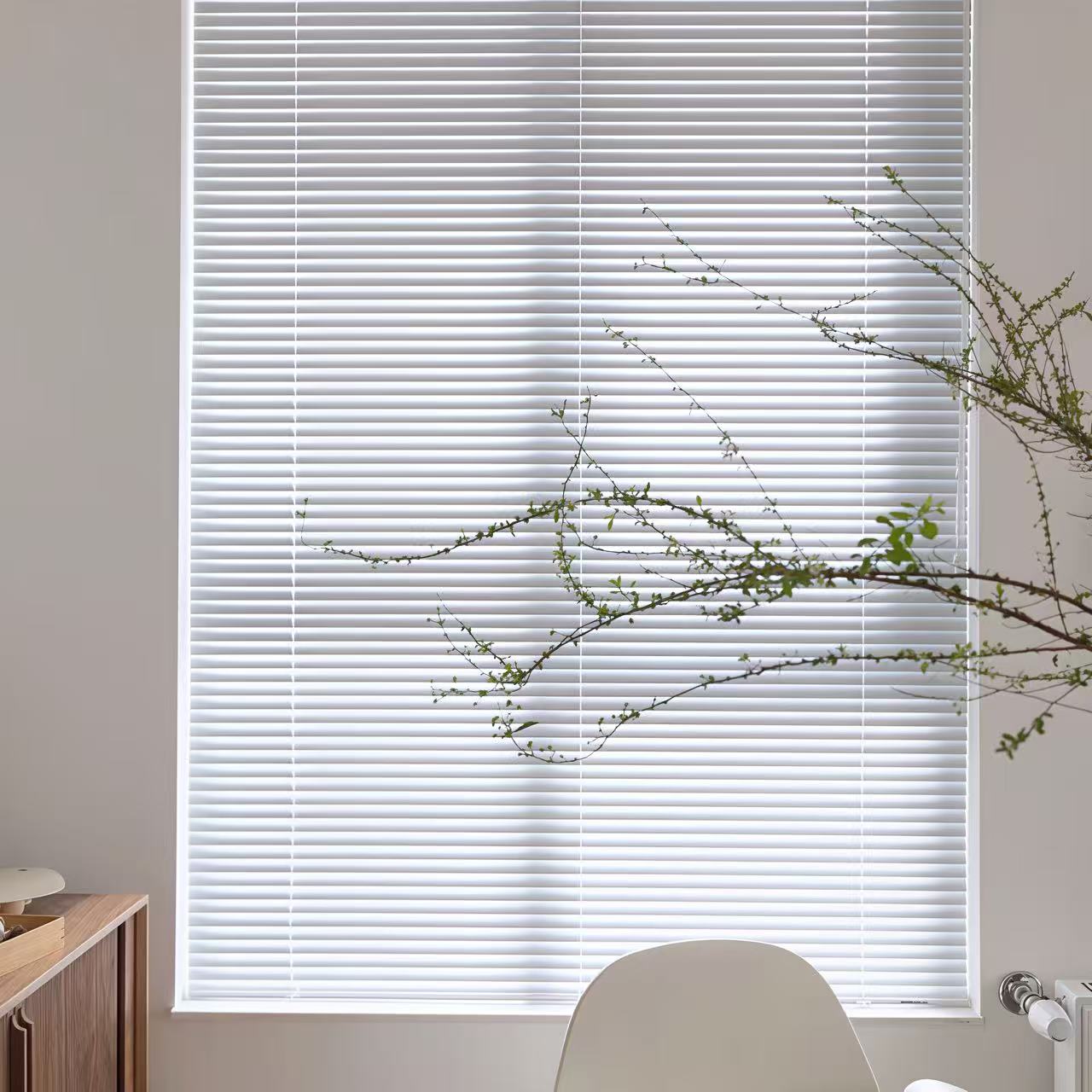 Venetian Blinds